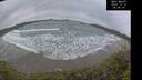 ./images/calvert/beach/20241210/beach20241210_084509M.jpg