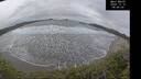 ./images/calvert/beach/20241210/beach20241210_094009M.jpg