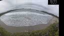 ./images/calvert/beach/20241210/beach20241210_100009M.jpg