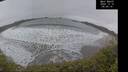 ./images/calvert/beach/20241214/beach20241214_090009M.jpg