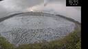./images/calvert/beach/20241218/beach20241218_151508M.jpg