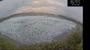 ./images/calvert/beach/20241218/beach20241218_153508M.jpg