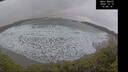 ./images/calvert/beach/20241218/beach20241218_154510M.jpg