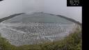 ./images/calvert/beach/20241219/beach20241219_134509M.jpg