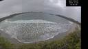 ./images/calvert/beach/20241220/beach20241220_145508M.jpg