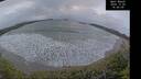 ./images/calvert/beach/20241220/beach20241220_165009M.jpg