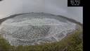 ./images/calvert/beach/20241226/beach20241226_100009M.jpg