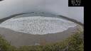 ./images/calvert/beach/20241227/beach20241227_120508M.jpg