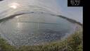 ./images/calvert/beach/20241231/beach20241231_133007M.jpg