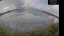 ./images/calvert/beach/20250201/beach20250201_134007M.jpg