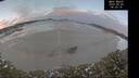 ./images/calvert/beach/20250203/beach20250203_082009M.jpg