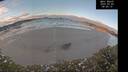 ./images/calvert/beach/20250203/beach20250203_084509M.jpg