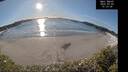 ./images/calvert/beach/20250203/beach20250203_151009M.jpg