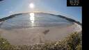 ./images/calvert/beach/20250203/beach20250203_154008M.jpg