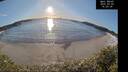 ./images/calvert/beach/20250203/beach20250203_160509M.jpg