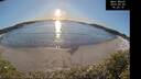 ./images/calvert/beach/20250203/beach20250203_162009M.jpg
