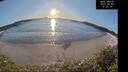 ./images/calvert/beach/20250203/beach20250203_162508M.jpg