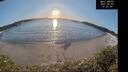 ./images/calvert/beach/20250203/beach20250203_163509M.jpg