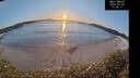 ./images/calvert/beach/20250203/beach20250203_170010M.jpg