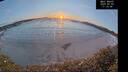 ./images/calvert/beach/20250203/beach20250203_171508M.jpg