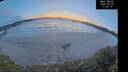 ./images/calvert/beach/20250203/beach20250203_175009M.jpg