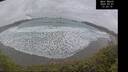 ./images/calvert/beach/20250301/beach20250301_132009M.jpg