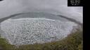 ./images/calvert/beach/20250301/beach20250301_140010M.jpg
