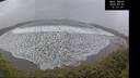 ./images/calvert/beach/20250301/beach20250301_151509M.jpg