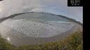 ./images/calvert/beach/20250311/beach20250311_125009M.jpg