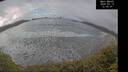 ./images/calvert/beach/20250313/beach20250313_123506M.jpg