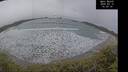 ./images/calvert/beach/20250315/beach20250315_143010M.jpg
