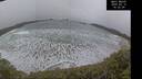 ./images/calvert/beach/20250315/beach20250315_143508M.jpg