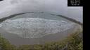 ./images/calvert/beach/20250315/beach20250315_154510M.jpg