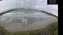 ./images/calvert/beach/20250326/beach20250326_094507M.jpg