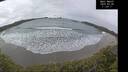 ./images/calvert/beach/20250326/beach20250326_113010M.jpg