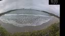 ./images/calvert/beach/20250326/beach20250326_115009M.jpg