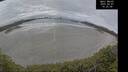 ./images/calvert/beach/20250407/beach20250407_143507M.jpg