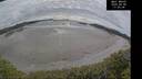 ./images/calvert/beach/20250408/beach20250408_170008M.jpg