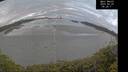 ./images/calvert/beach/20250429/beach20250429_062510M.jpg