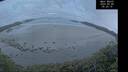 ./images/calvert/beach/20250508/beach20250508_052009M.jpg