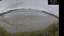 ./images/calvert/beach/20250508/beach20250508_124511M.jpg