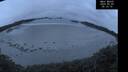 ./images/calvert/beach/20250509/beach20250509_051009M.jpg