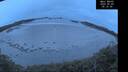 ./images/calvert/beach/20250509/beach20250509_051509M.jpg