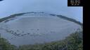 ./images/calvert/beach/20250509/beach20250509_052509M.jpg