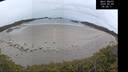 ./images/calvert/beach/20250509/beach20250509_060510M.jpg