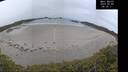 ./images/calvert/beach/20250509/beach20250509_063011M.jpg