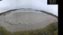 ./images/calvert/beach/20250509/beach20250509_065510M.jpg