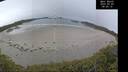 ./images/calvert/beach/20250509/beach20250509_085510M.jpg