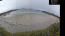 ./images/calvert/beach/20250509/beach20250509_090010M.jpg