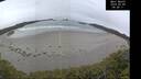 ./images/calvert/beach/20250509/beach20250509_095010M.jpg
